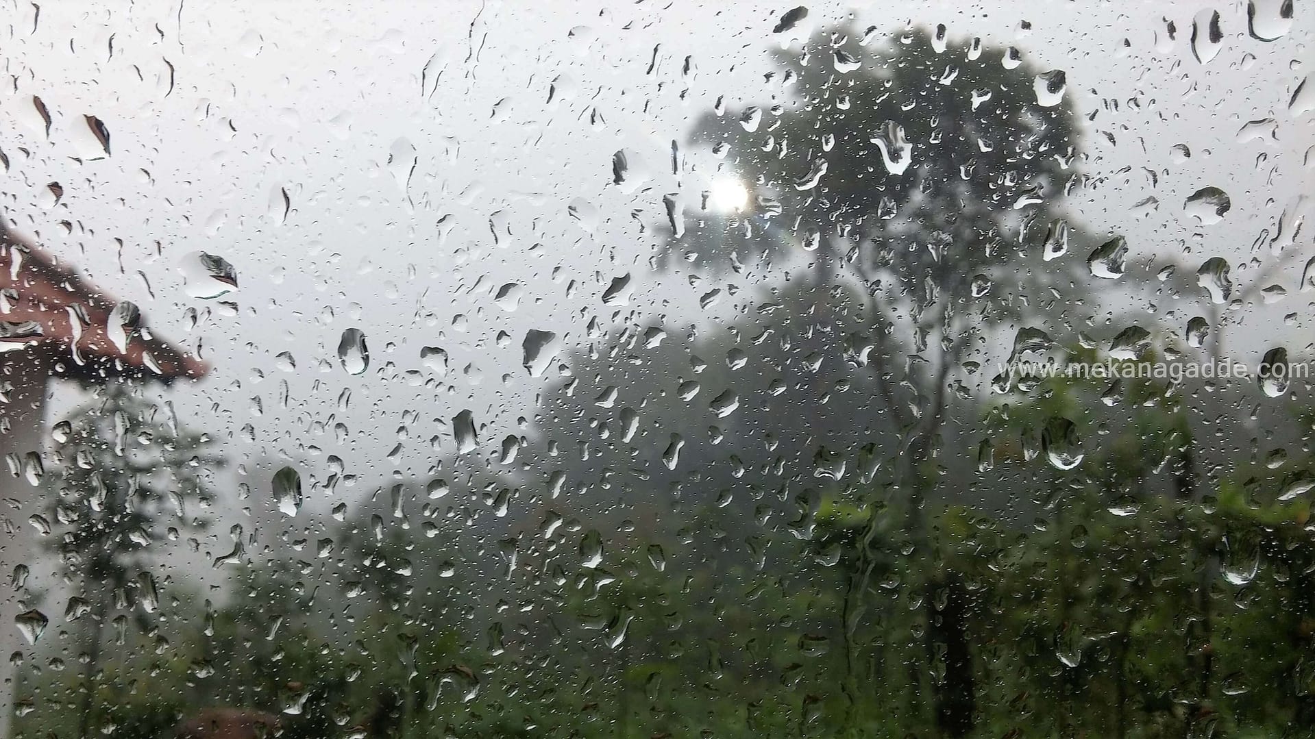 Sakleshpur Rain