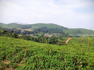 Devaramane Hills Mudigere, Chikmagalur