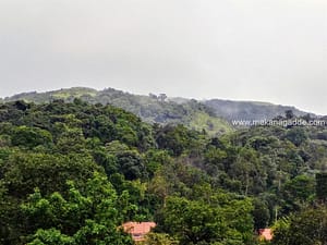 Mekanagadde Homestay Backdrop Hills